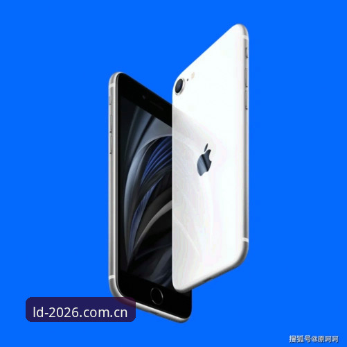 乐动体育官方登录入口新旧对比：2026新版升级vs传统版本，哪个更适合你？
